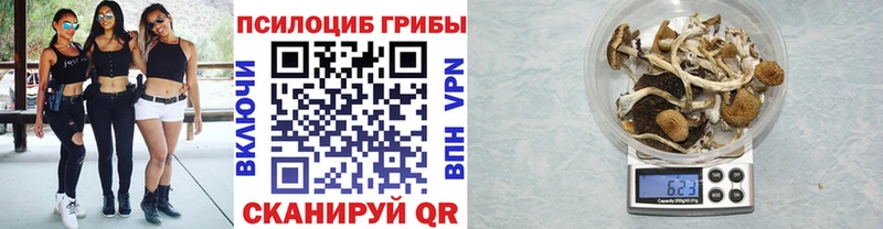 наркошоп  Верея  Галлюциногенные грибы мухоморы 
